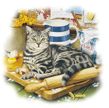 Gatto 12